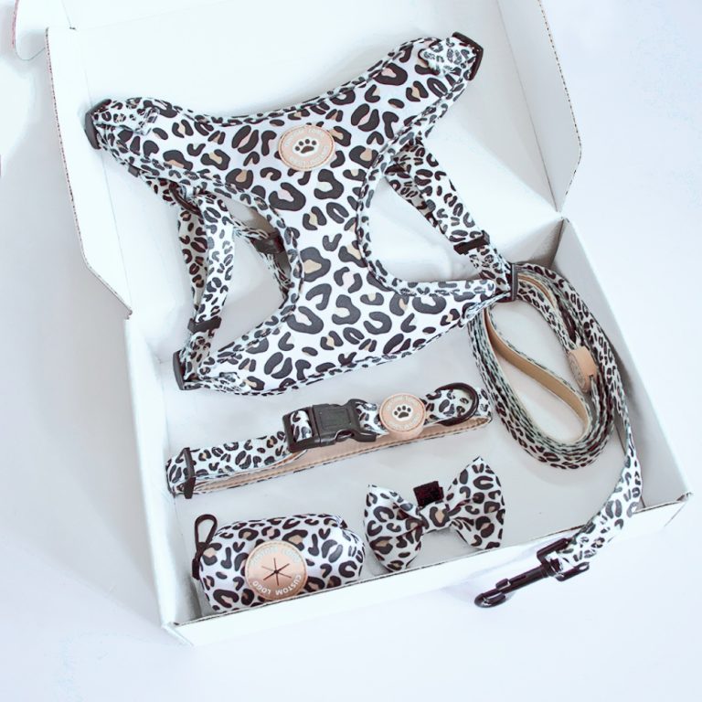 Client Collaboration Case Study: From High MOQ Hurdle to Successful Pet Brand Launch